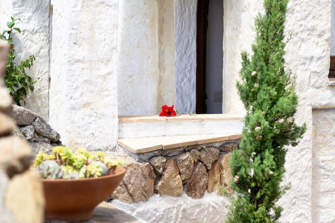 Punta Saline Villa